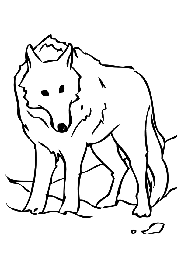 Stationary Wolf Coloring Play Free Coloring Game Online