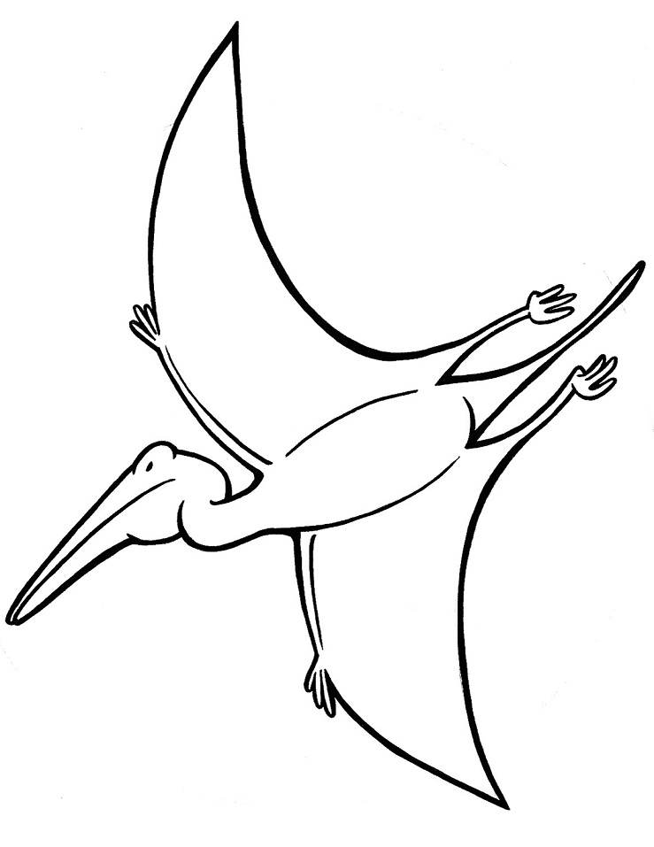 Pterodactyl Coloring Play Free Coloring Game Online