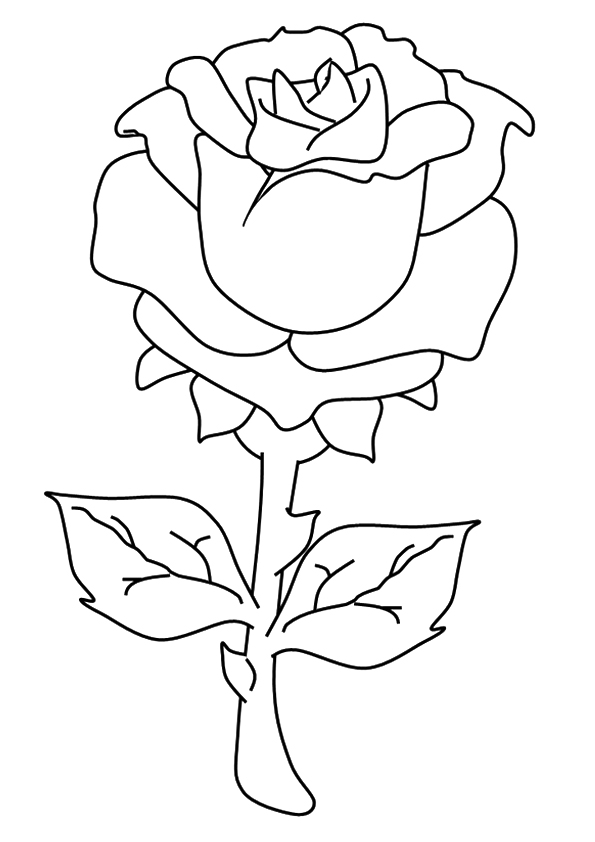 A Rose Coloring Game A Rose