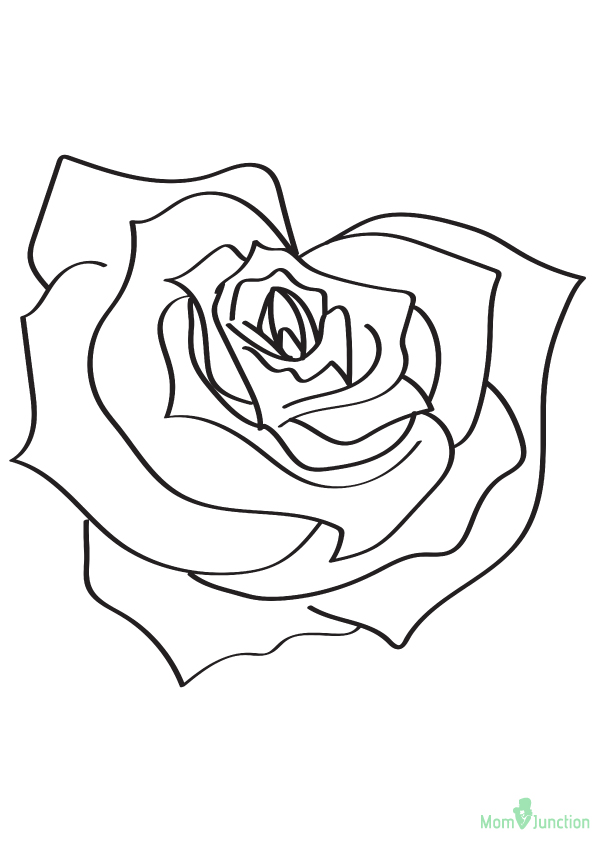 The Heart Shaped Rose Coloring Game The Heart Shaped Rose