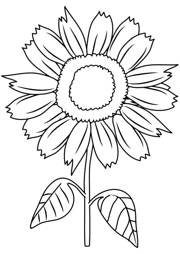 Sunny Smile Sunflower Coloring Game Sunny Smile Sunflower