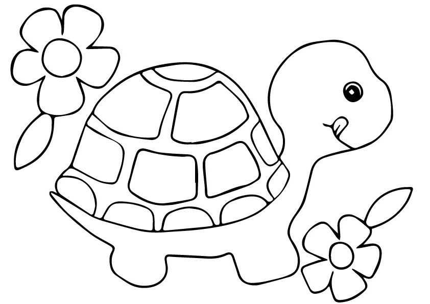 Turtle With Flowers Coloring Game Turtle With Flowers