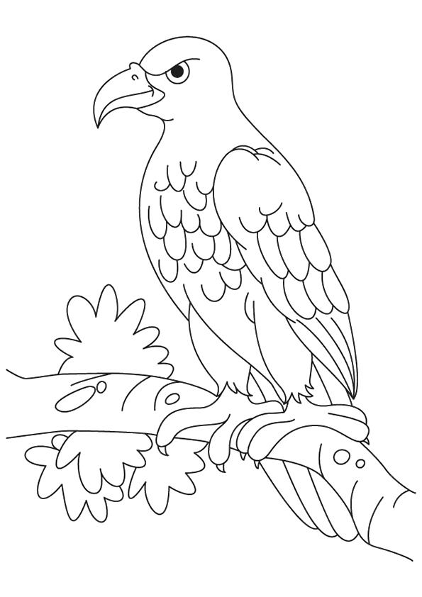 Steller's Sea Eagle Coloring Game Steller's Sea Eagle