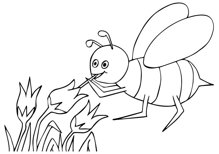 Bee