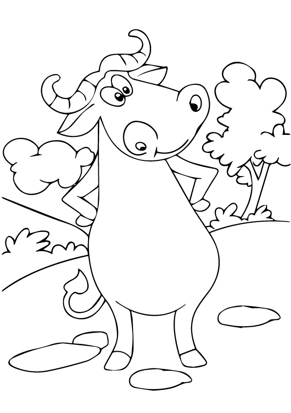 Cute Buffalo Coloring Game Cute Buffalo