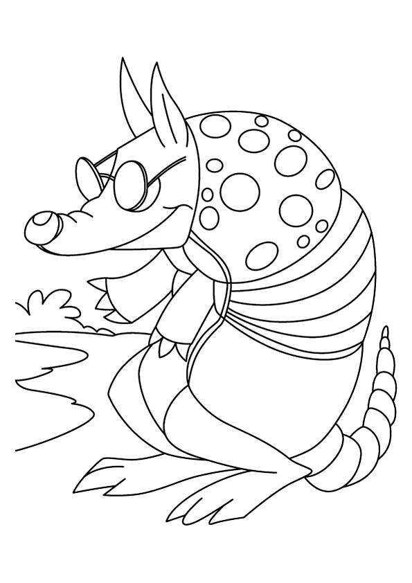 Funny Armadillo