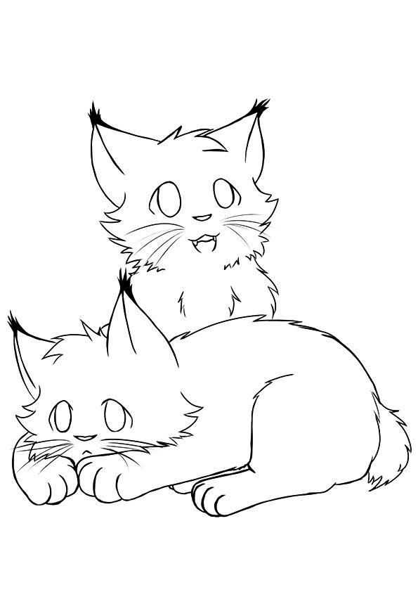 Lynx