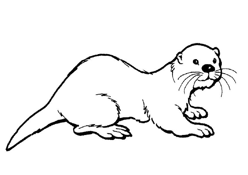 Otter