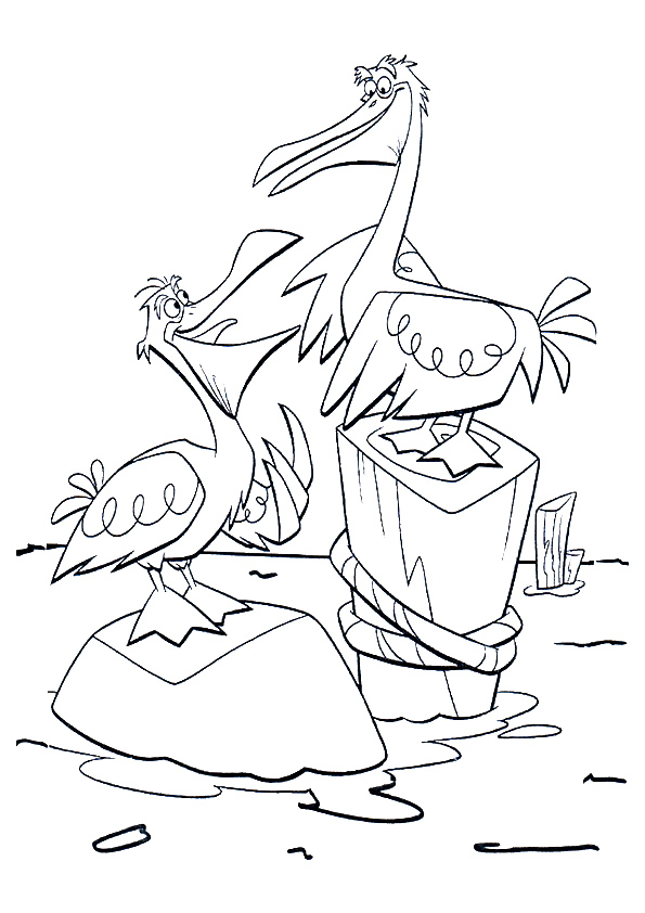 Pelican