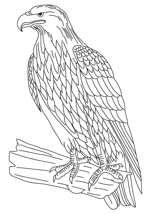 Golden Eagle Coloring Game Golden Eagle