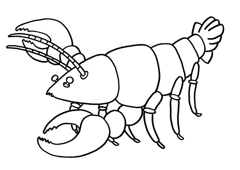 Lobster