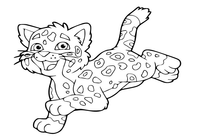 Jaguar