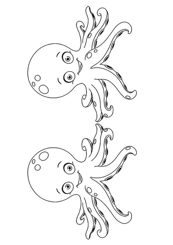 Cute Octopuses