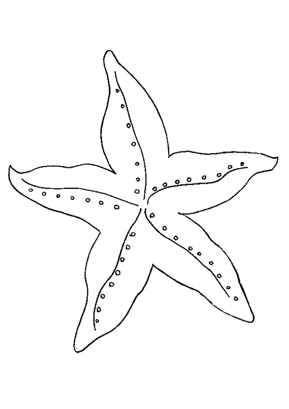 Starfish