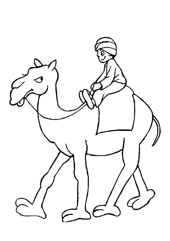A Man Riding Camel