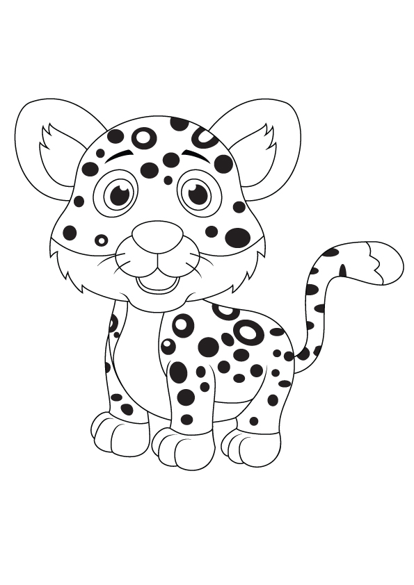 Leopard