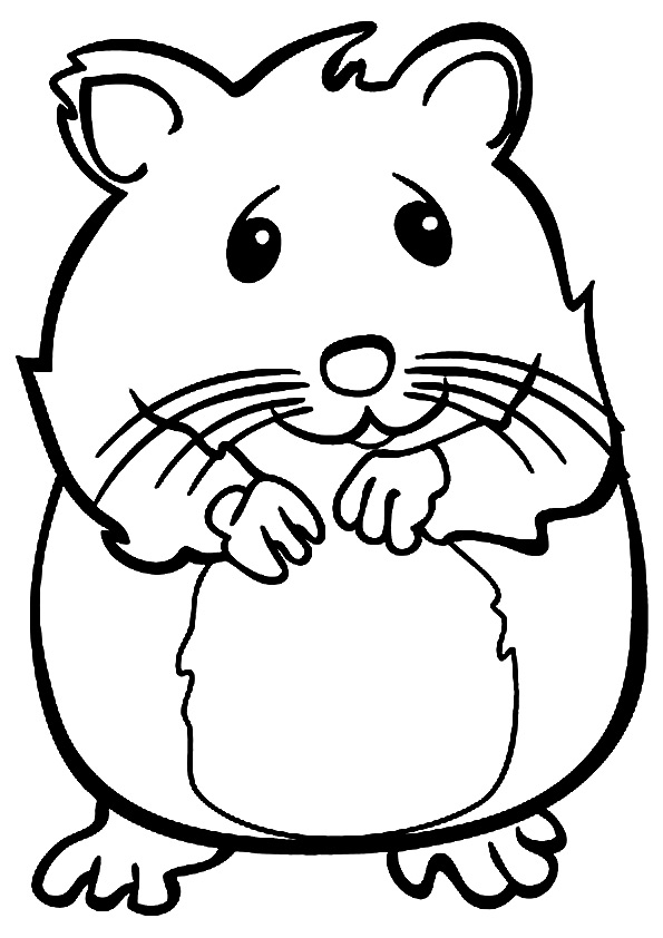Smiling Hamster Coloring Game Smiling Hamster