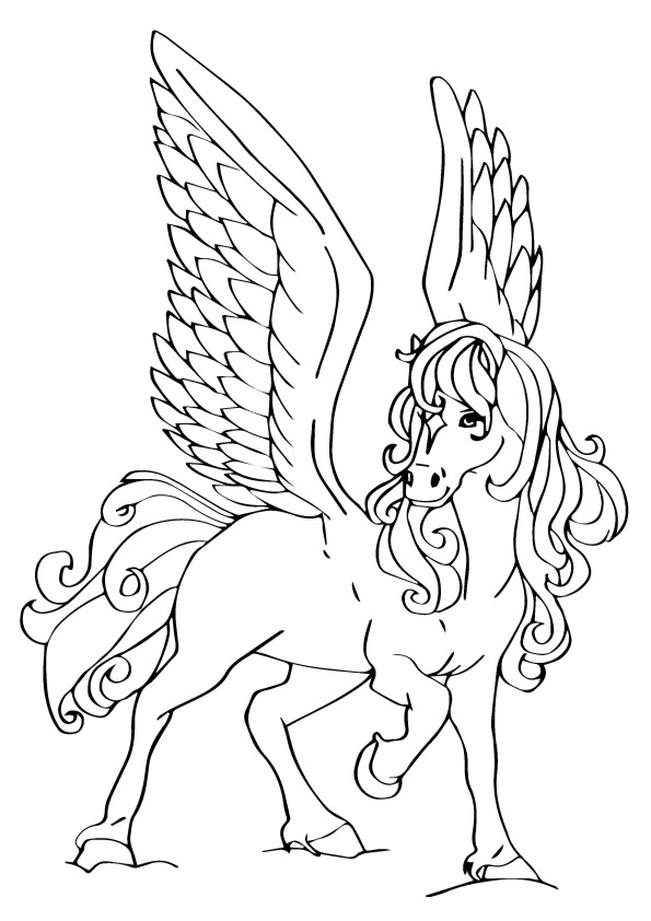 Beautiful Pegasus