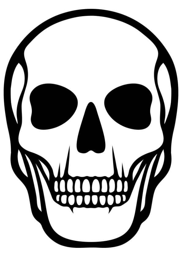 Human Skull