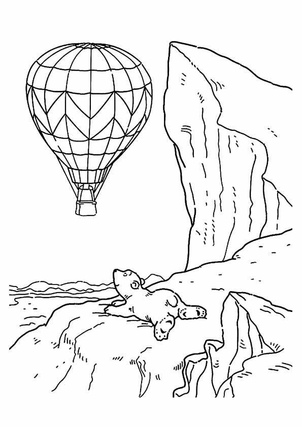 Polar Watching A Hot Air Balloon