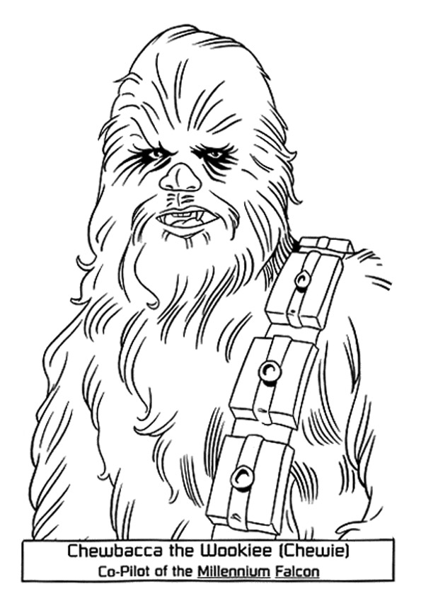 Chewbacca In Star Wars