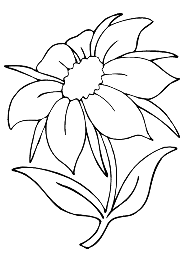 Jasmine Grandiflorum Absolute