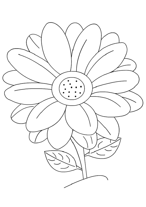 A Daisy Flower Coloring Game A Daisy Flower