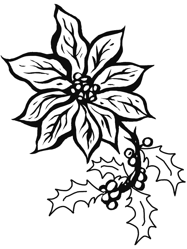 Unique Poinsettia Coloring Game Unique Poinsettia
