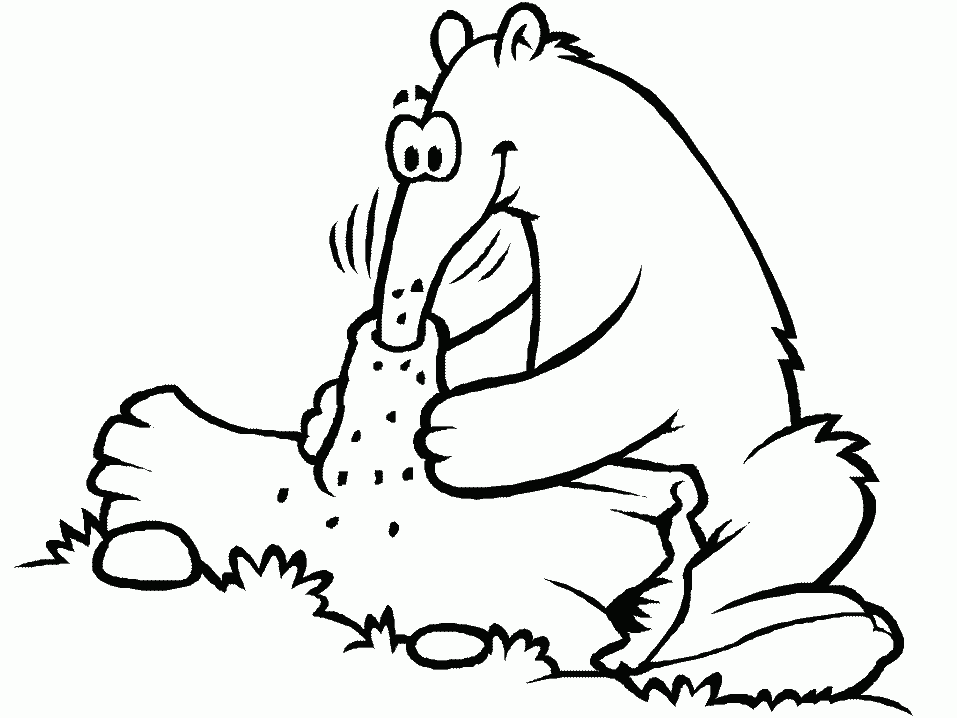 Anteater