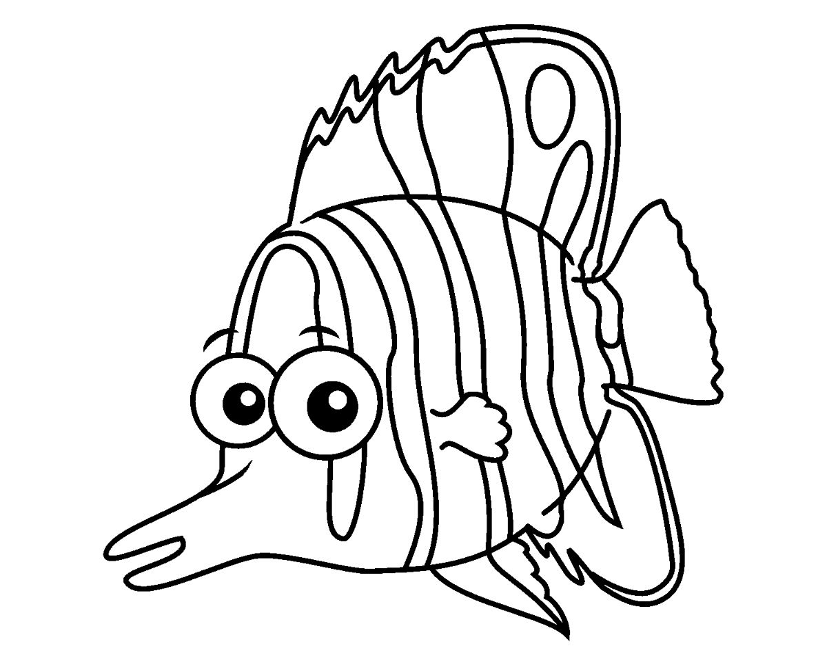Butterfly Fish Coloring Game Butterfly Fish