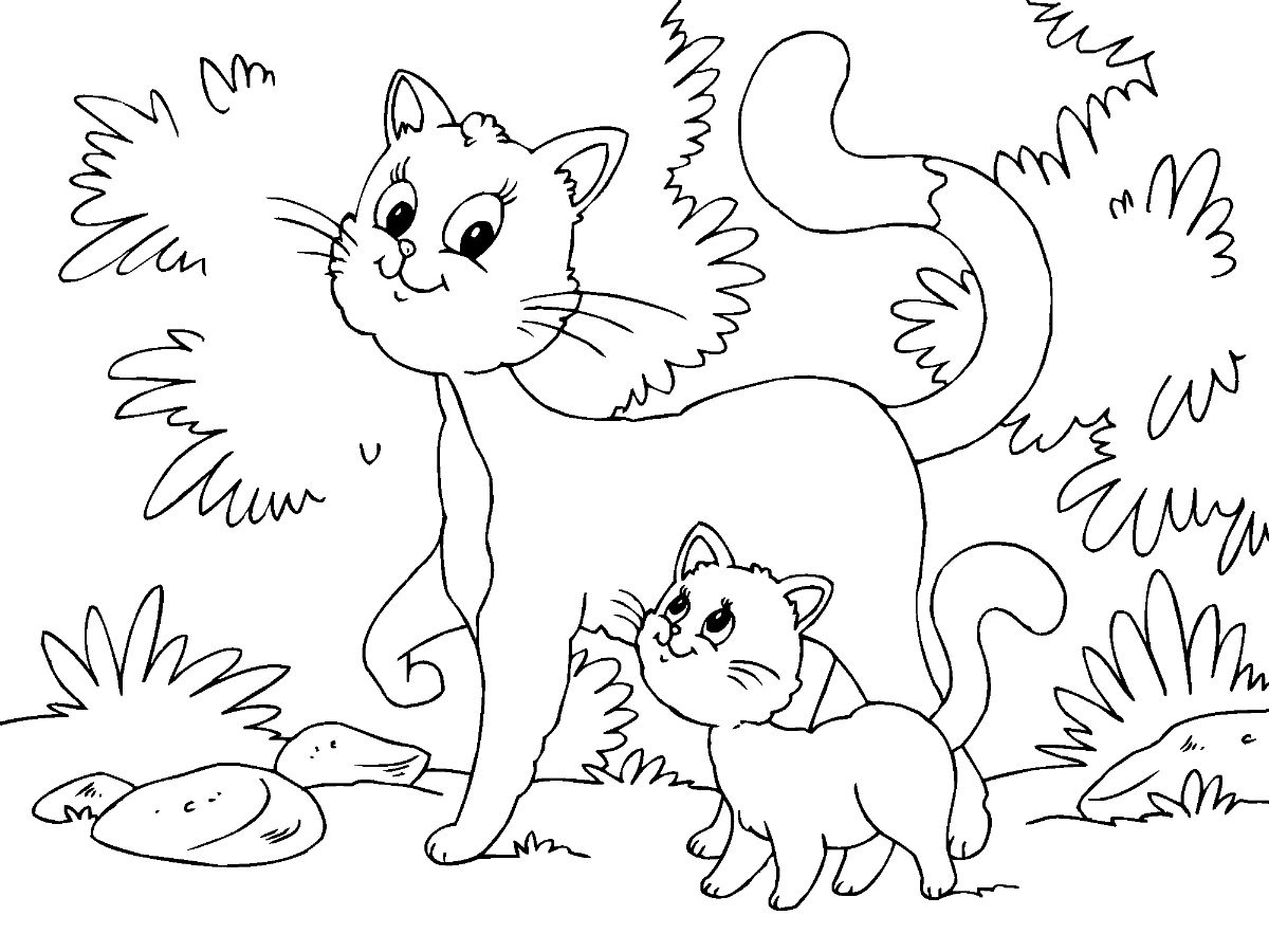 Cat And Kitten Coloring Game Cat And Kitten