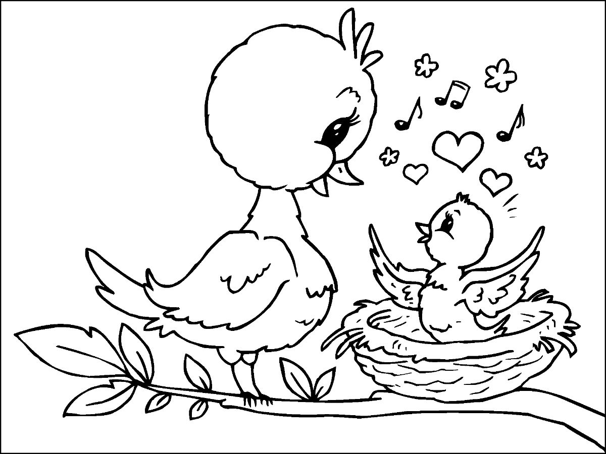 Mother Bird And Baby Bird Coloring Game Mother Bird And Baby Bird