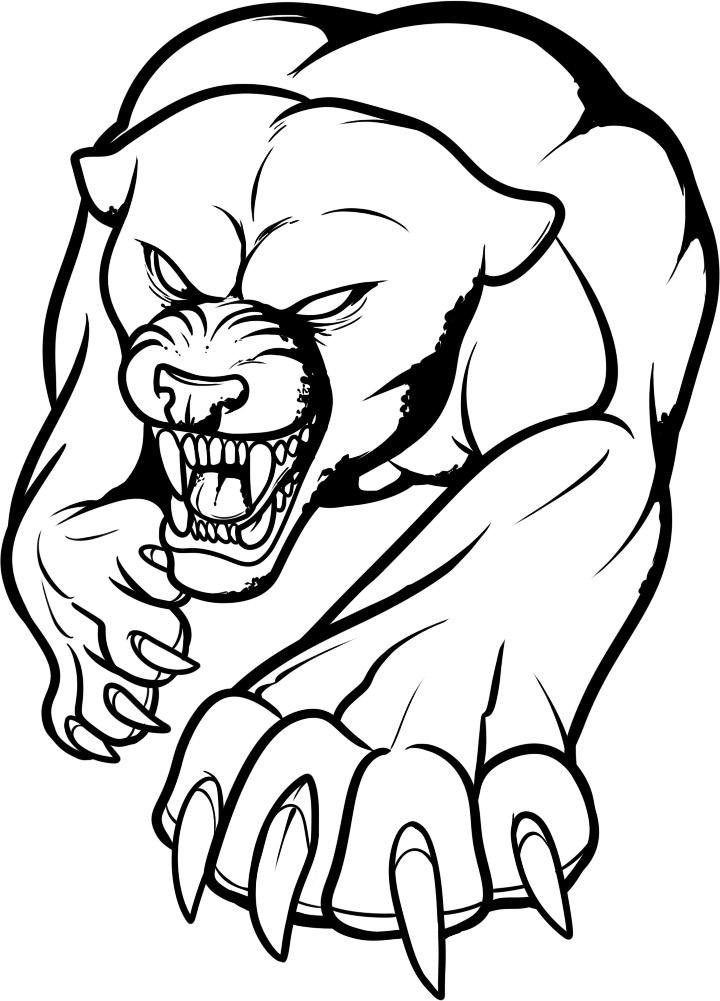 Panther