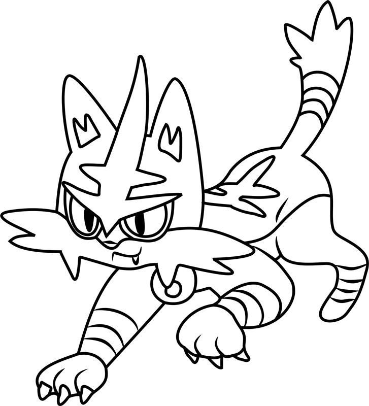 Torracat Moving