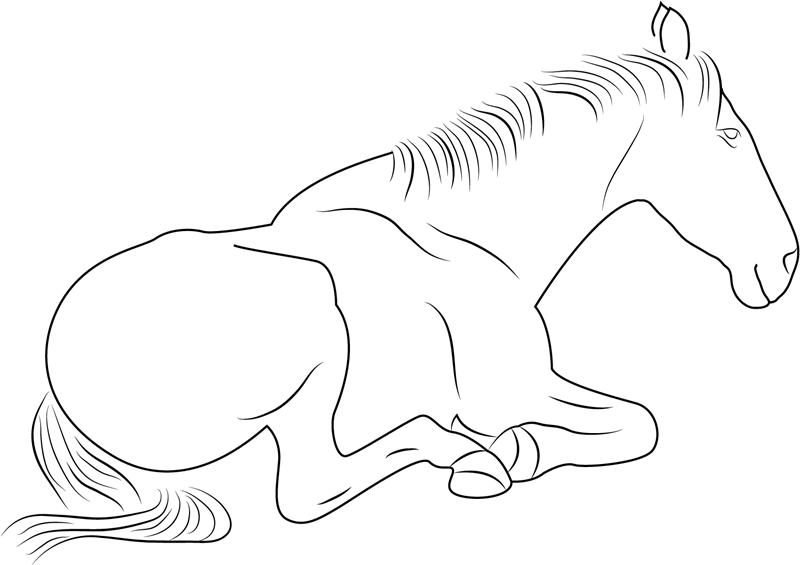Horse Sitting Coloring Game Horse Sitting