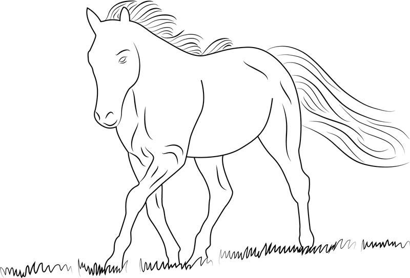Horse Walking Coloring Game Horse Walking
