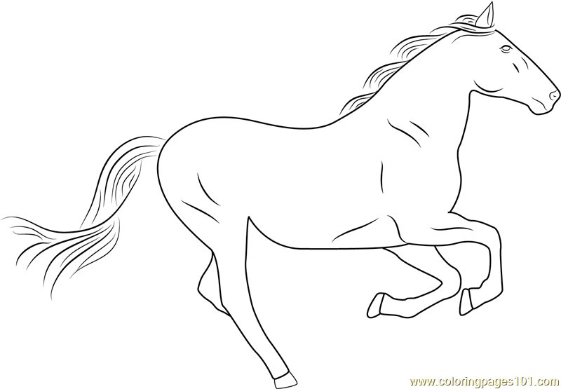 Horse Running Fast Coloring Game Horse Running Fast