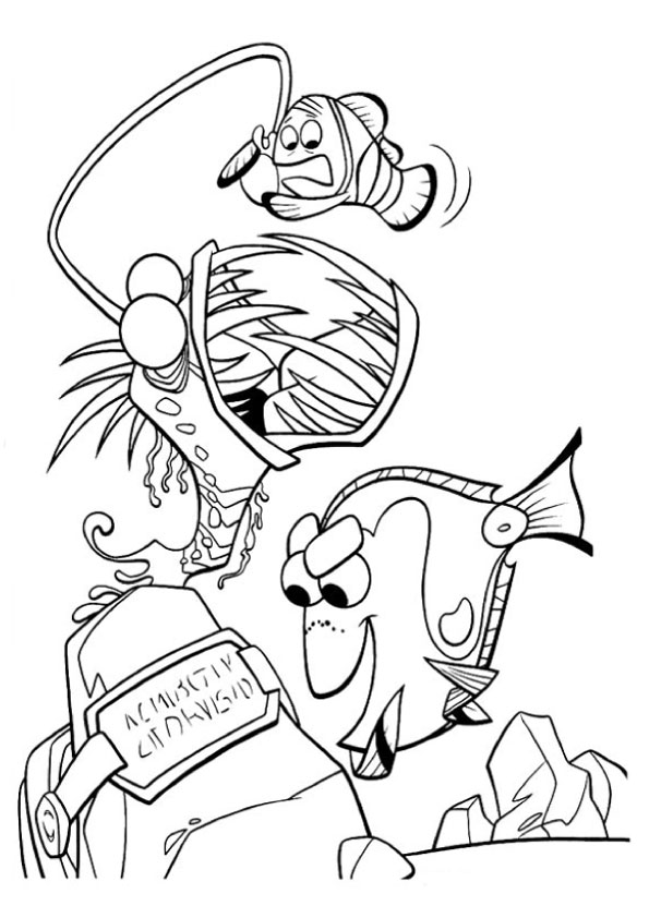 Marlin In Danger Coloring Game Marlin In Danger