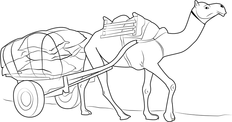 Camel Pulling Goods