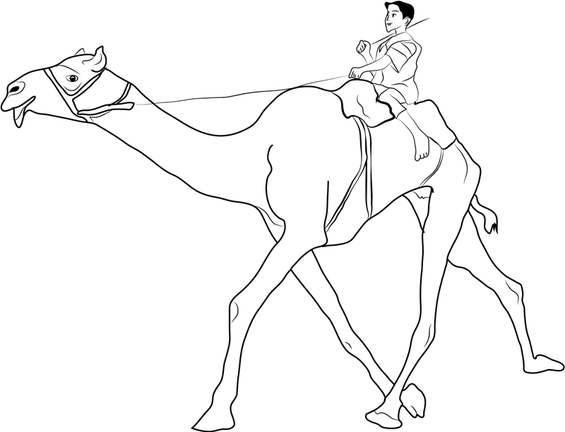 Man Riding Camel