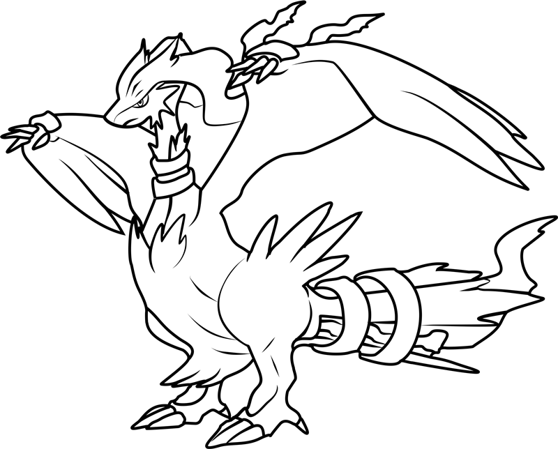 Reshiram Pokemon