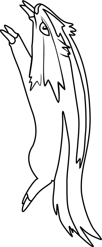 Linoone Pokemon Running