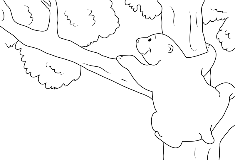 Lars Climbing The Tree