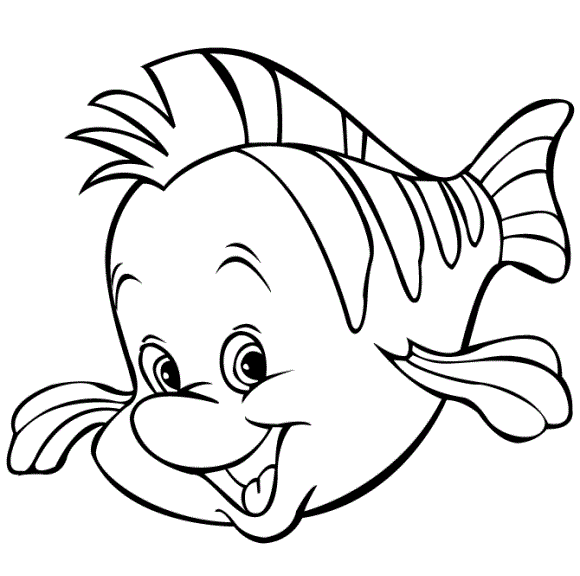 Flounder