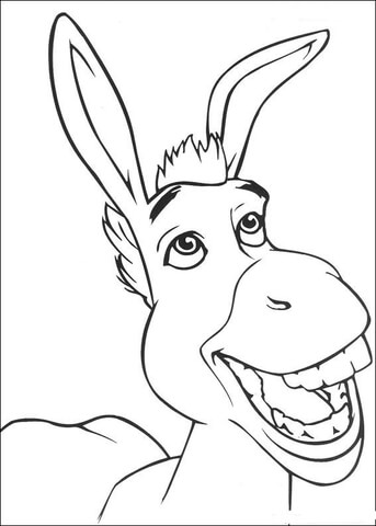 Donkey Smiling Coloring Game Donkey Smiling