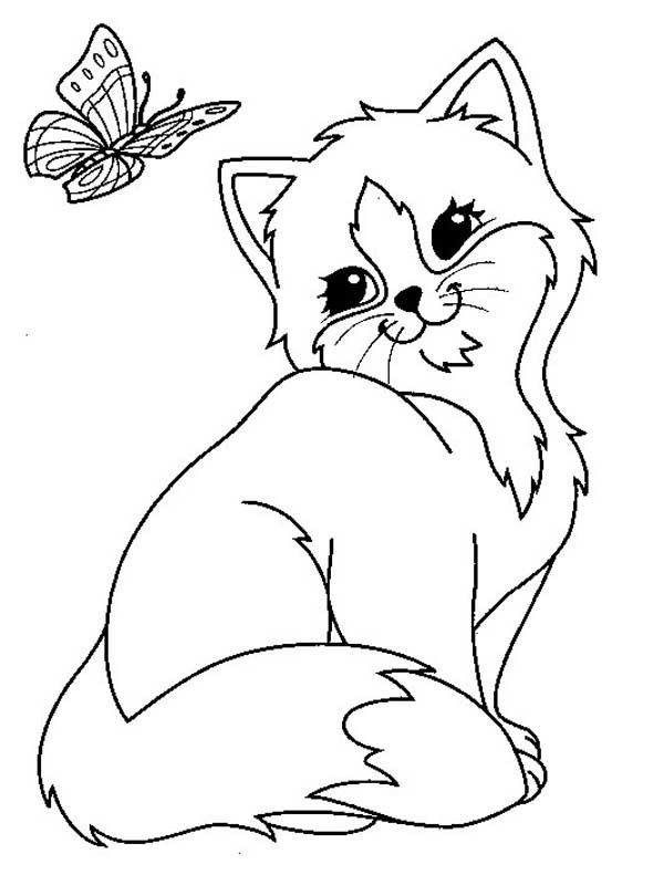 Cat With Butterfly Coloring Game Cat With Butterfly