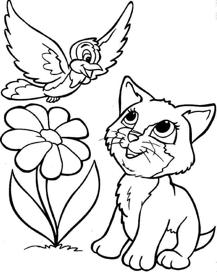 Bird And Cat Coloring Game Bird And Cat