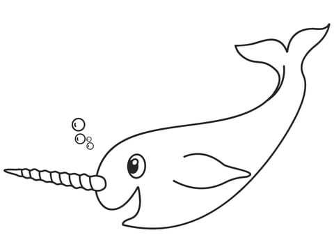 Narwhal