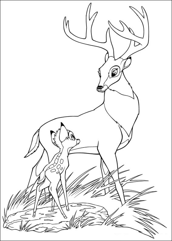 The Great Prince Of The Forest And Bambi Coloring Game The Great Prince Of The Forest And Bambi