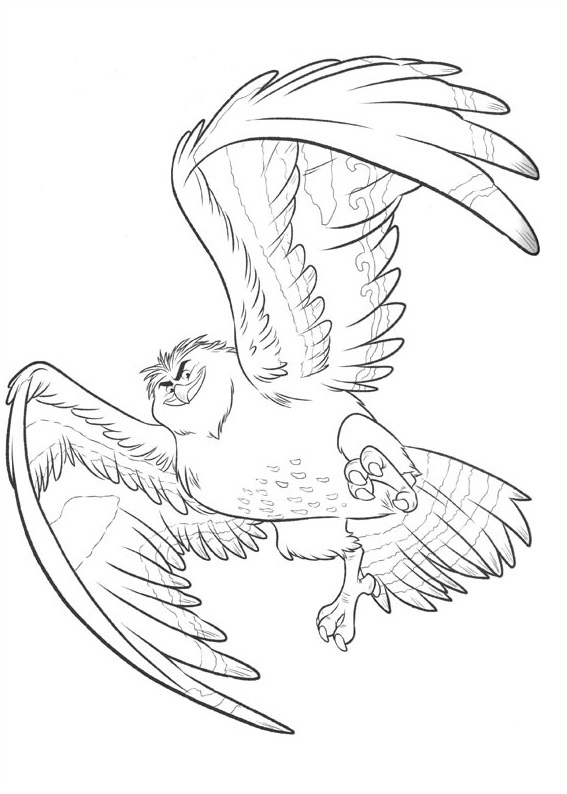 Maui Bird Coloring Game Maui Bird